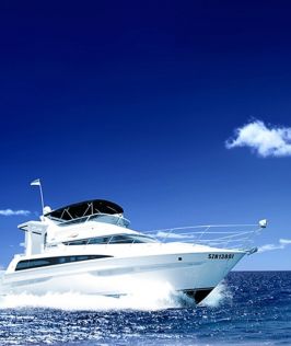 SGYACHT 4-Hour Luxury Yacht Charter