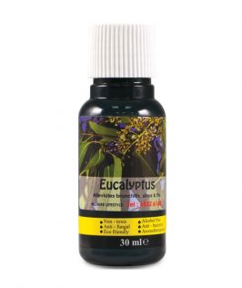 BioAire Lifestyle Essential Oil – Eucalyptus